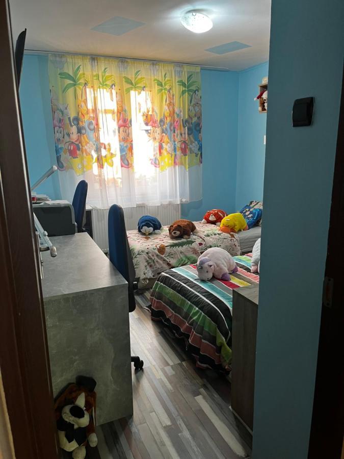 Apartament Maria 1 Băile Herculane エクステリア 写真