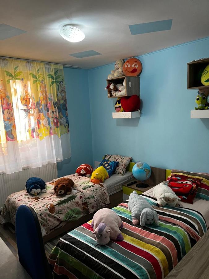 Apartament Maria 1 Băile Herculane エクステリア 写真